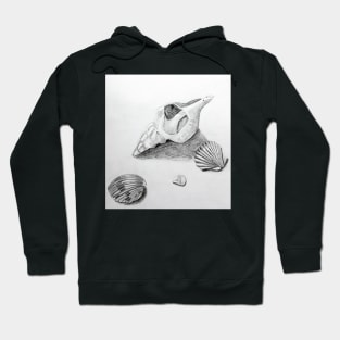 Sea Shell Pencil Drawing2 Hoodie